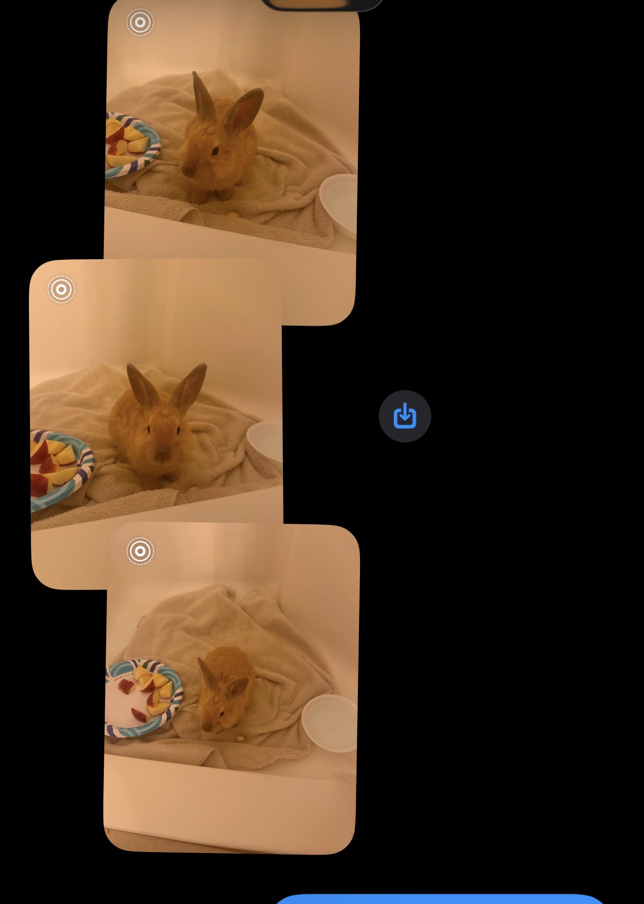?